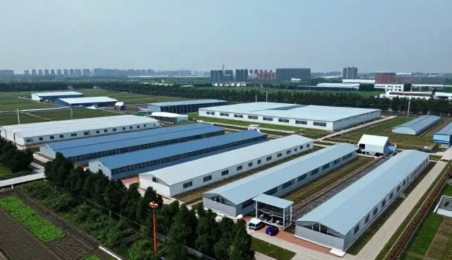 系统维护在渠道分销中的关键作用与实践建议